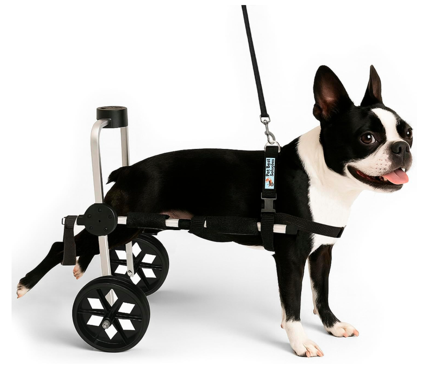 Cadeira de Rodas Para Cachorro Tamanho M Médio Anti Tombamento Pet Best Soluções